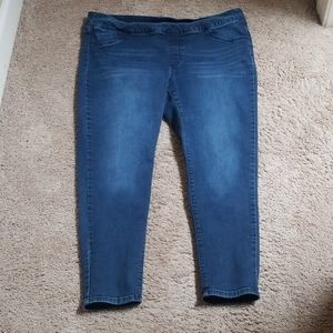 Size 2x (20W) Skinny Jeans